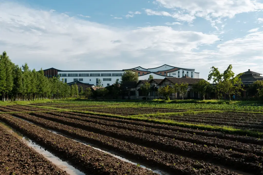 医用制氧机PSA与膜分离技术对比：稳定性与成本分析