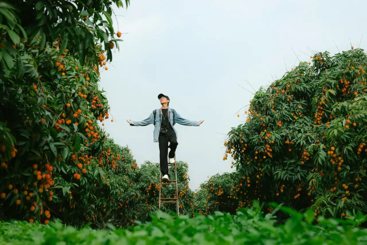 医用制氧机核心参数对比：分子筛与压缩机选型分析