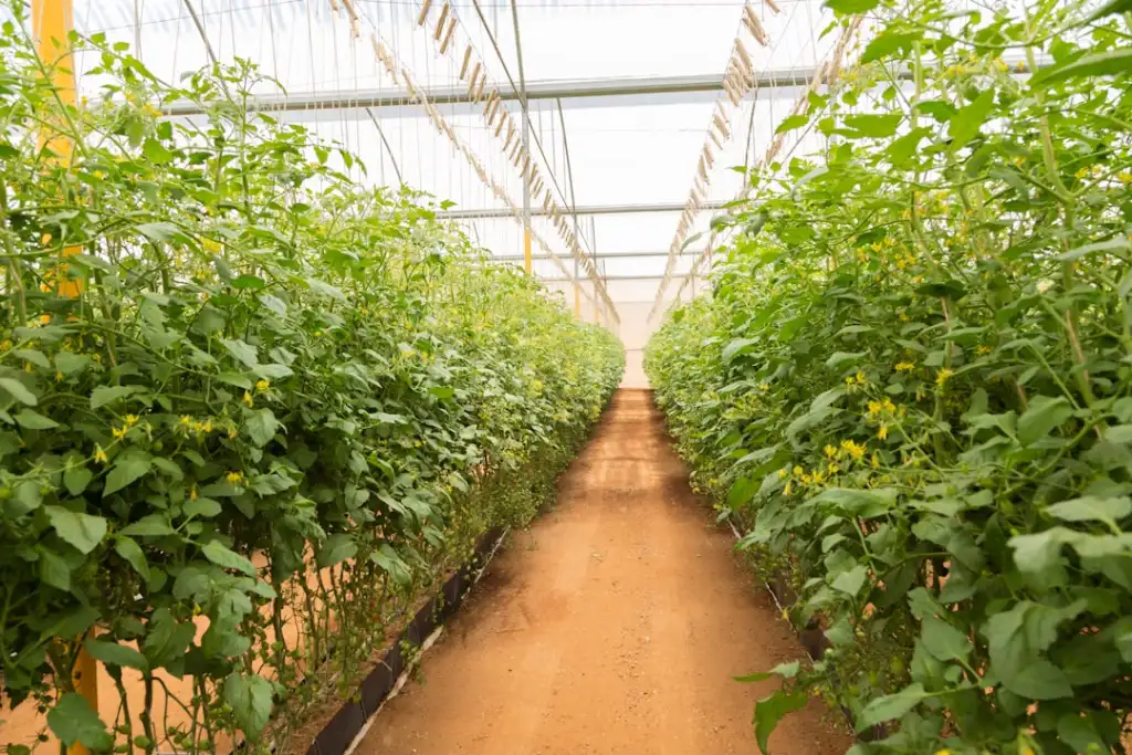 医用制氧机在华中地区医院供氧系统中的应用方案与案例解析