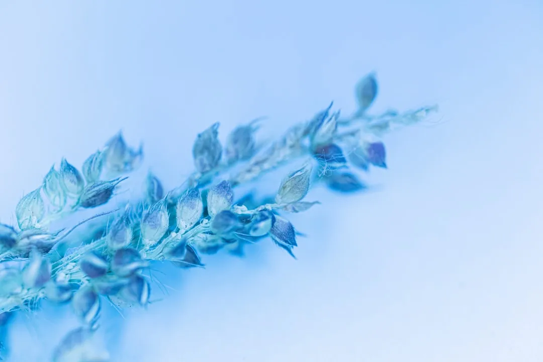 中心供氧系统在华中地区医院与养老机构的定制化应用方案