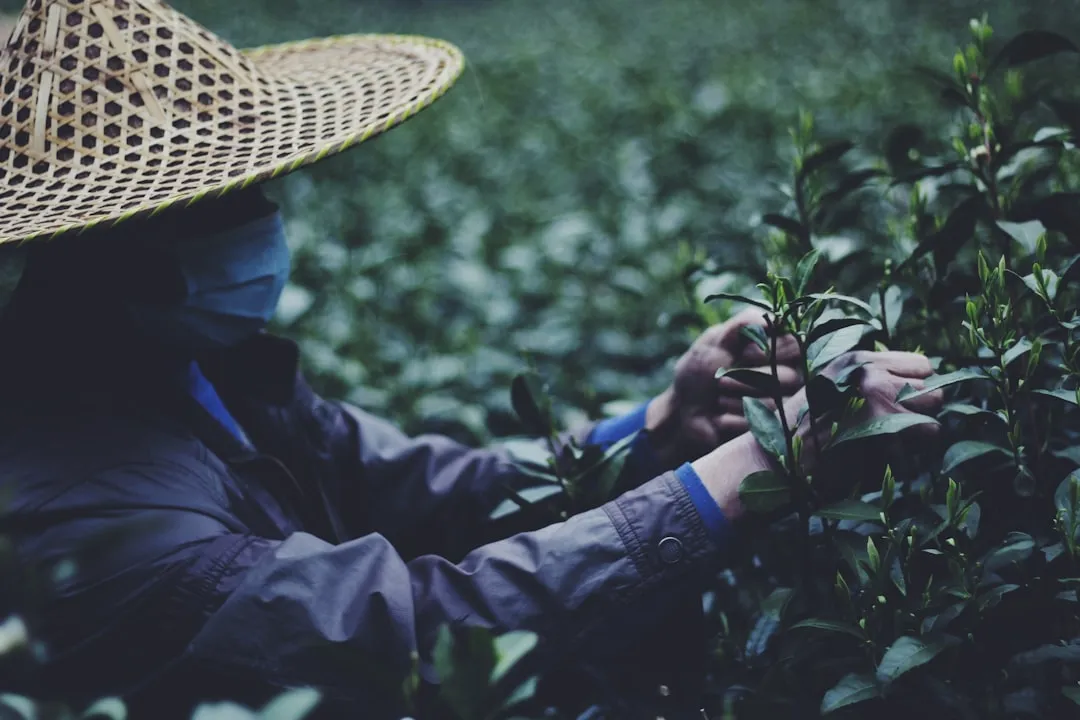医用制氧机PSA变压吸附技术原理及运行稳定性对比分析