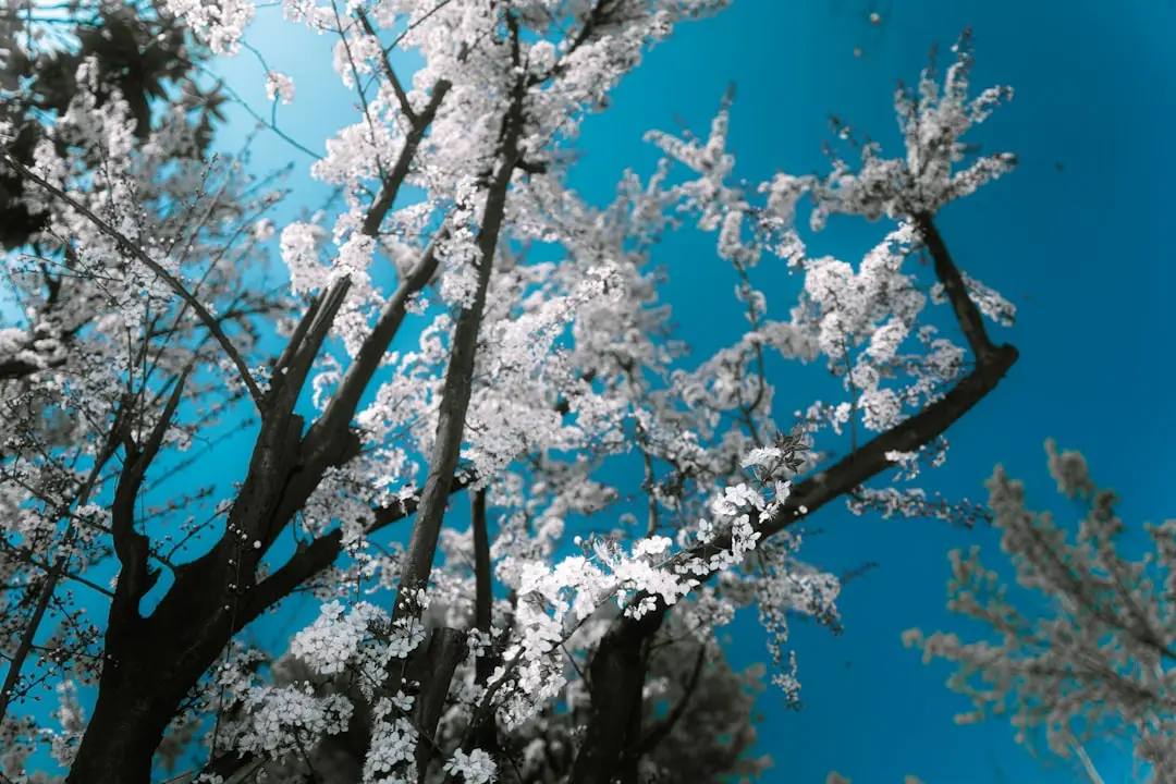 制氧系统在养老机构中的应用：如何保障持续稳定供氧与用氧安全